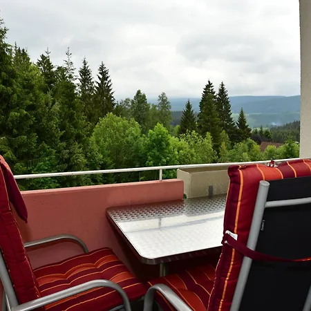 Black Forest Bollenhut Deluxe Lejlighed Lenzkirch